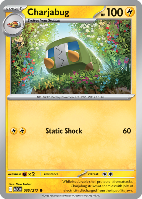 Charjabug - ASC #65 - Ball Reverse