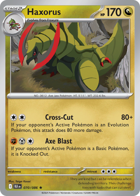 Haxorus - BLK #70 - Holo